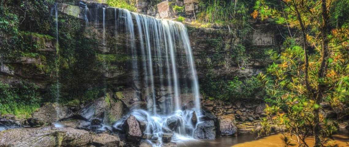 The Fin Travel & Tours