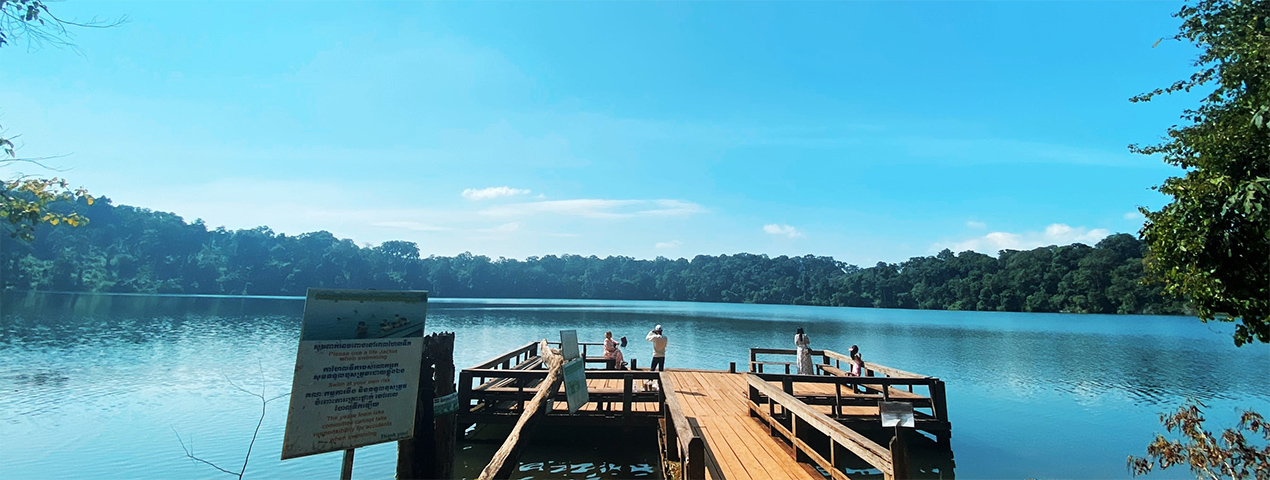 The Fin Travel & Tours