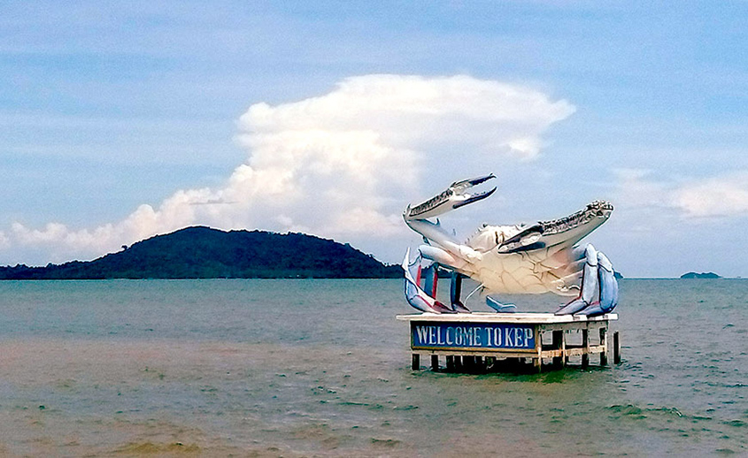 The Fin Travel & Tours